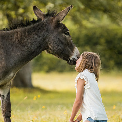 Ein Mädchen, das einem Esel einen Kuss gibt