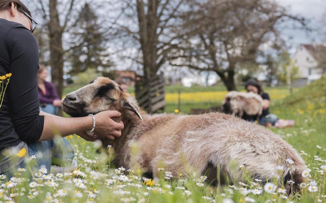 Jahresrückblick & Ausblick 2026