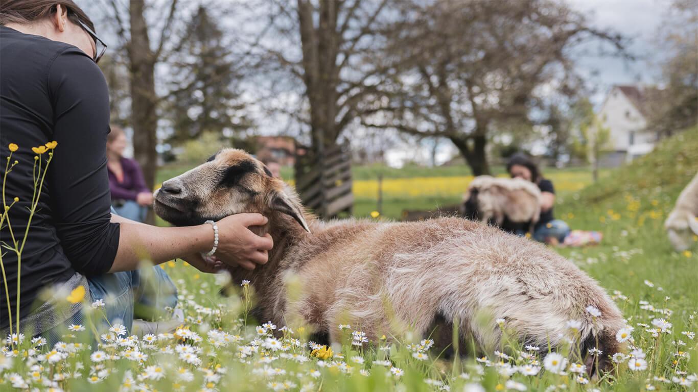 Anmeldung Newsletter Andrea Goehring