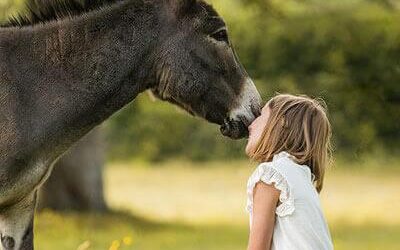 Unser Herzensprojekt: Schenke Kindern ein besonderes Lächeln