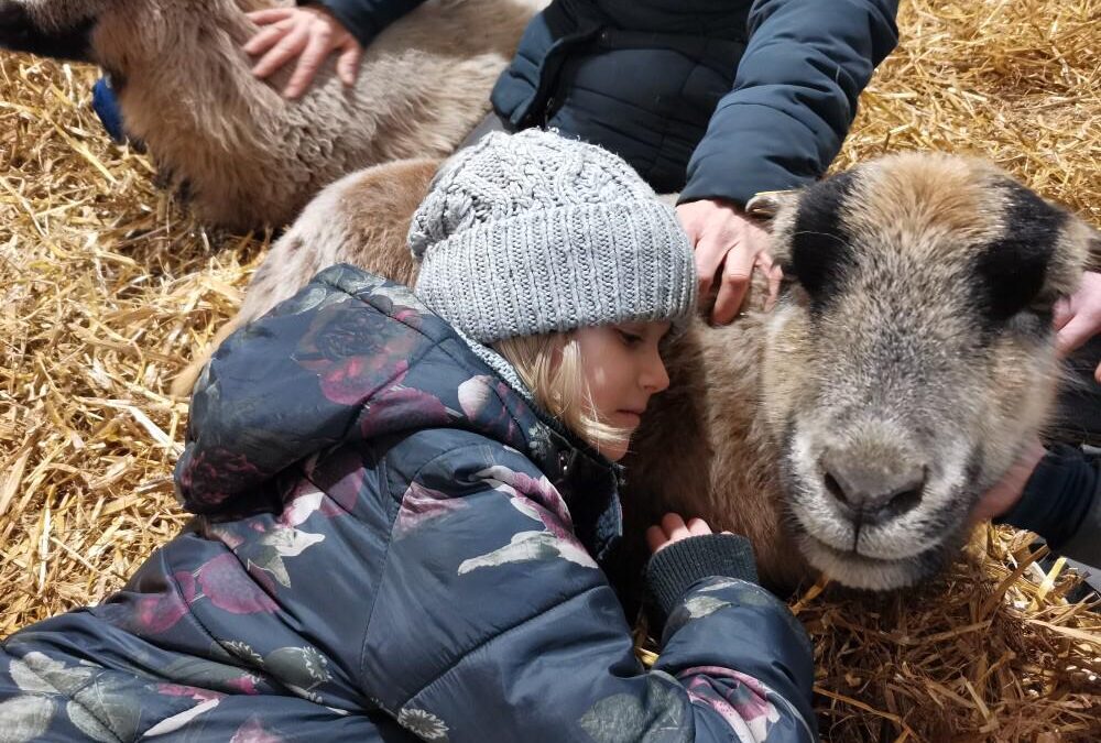 Bauernhoftiere helfen heilen