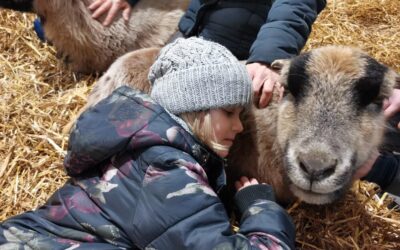 Bauernhoftiere helfen heilen
