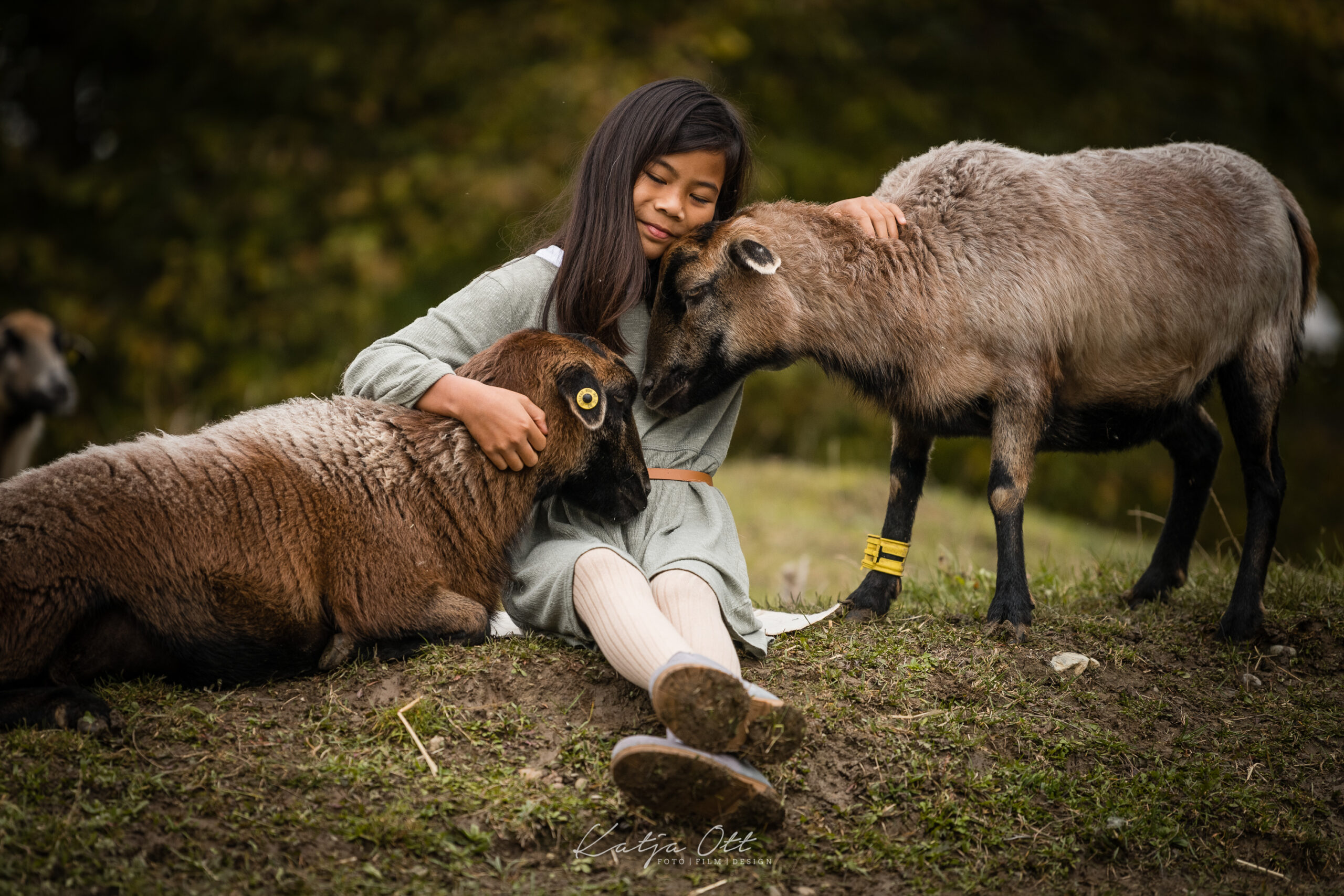 Anmeldung Newsletter Andrea Goehring