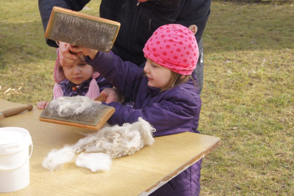 Postcode-Lotterie_Wolle kämmen